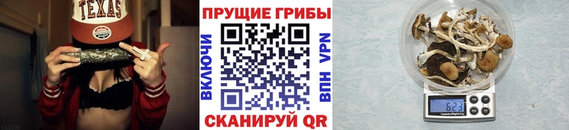 Галлюциногенные грибы Magic Shrooms  Купить закладки  Кондрово 