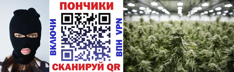 Каннабис Bruce Banner  Купить  Кондрово 